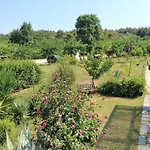 House In Ierissos, Halkidiki